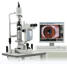 SEGMENTO ANTERIOR