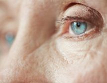 Leer noticia sobre:  20 de Abril 2020 
 El Glaucoma, enfermedad silente que te roba la visión. Periódico El Día 