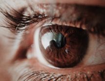 Leer noticia sobre:  04 de Abril 2018 
 Revista Vive Sano. El Glaucoma  