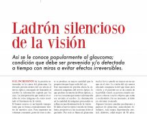 Leer noticia sobre:  28 de Mayo 2018 
 Revista CHT. Ladrón Silencioso de la Visión.  