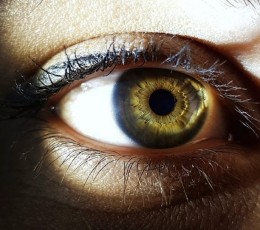 Cada segundo jueves de octubre se celebra el D&iacute;a Mundial de la Visi&oacute;n