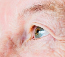 &iquest;Conoces los tipos de degeneraci&oacute;n macular asociada con la edad?